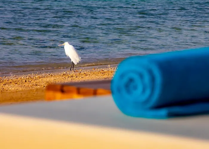 Zen Resort Sahl Hasheesh By Tbh Hotels